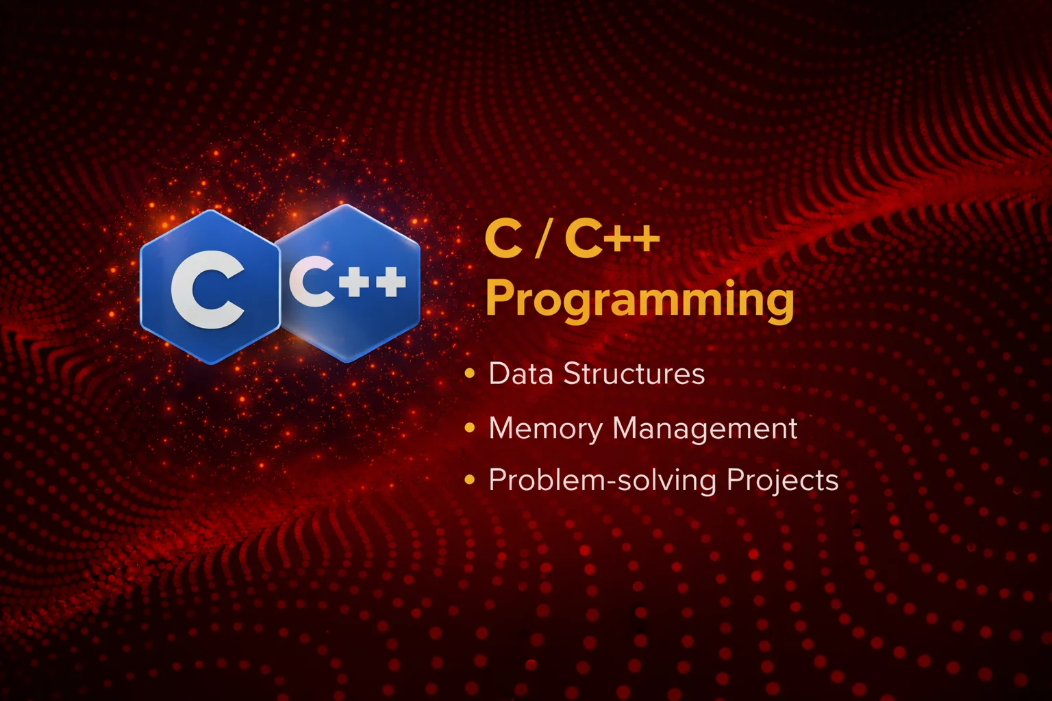 C and C++ Programming Internship