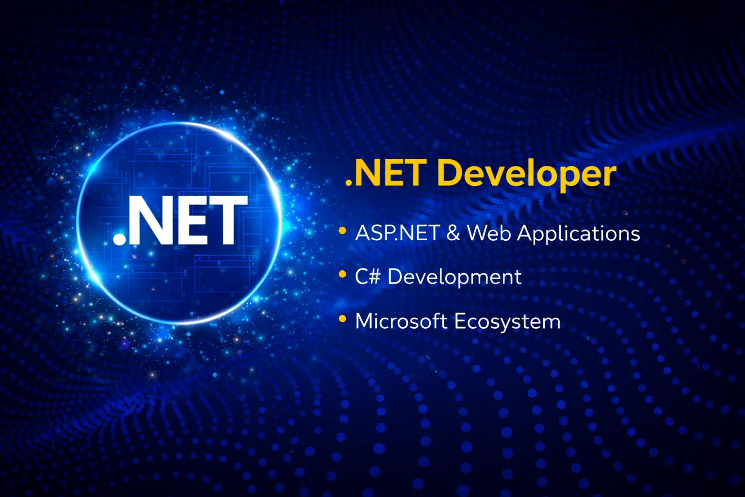 .NET Developer Internship